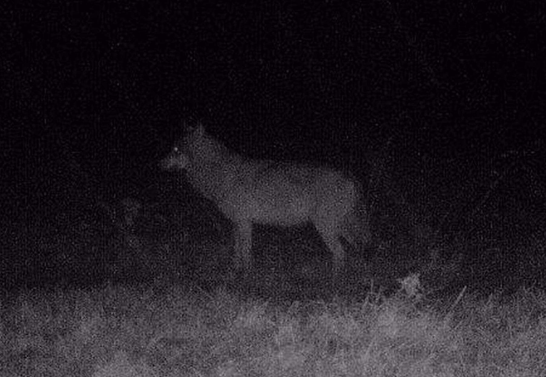 Wann wurde Bonn gebaut?