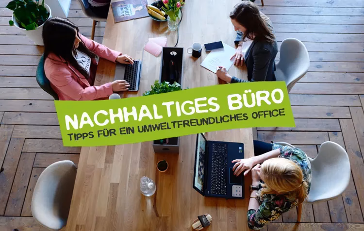 Was sind mögliche Beispiele für Nachhaltigkeit?