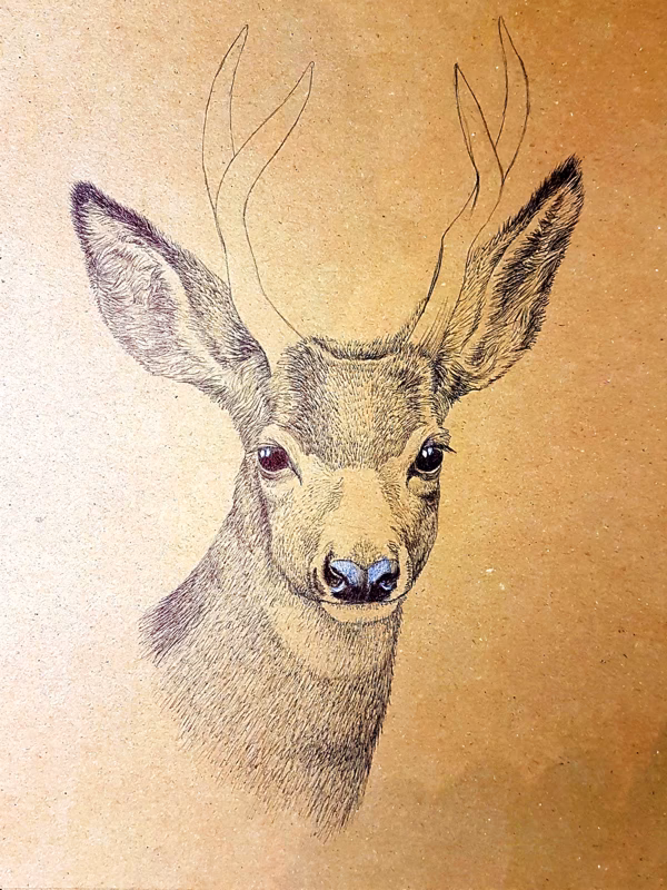 Wie macht man eine realistische Bleistiftzeichnung?