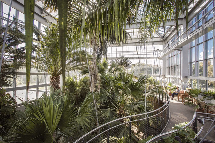 Warum sind manche Gewächshäuser grün?