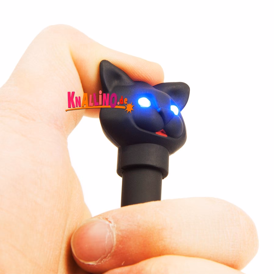 Warum rammelt mich mein Kater?