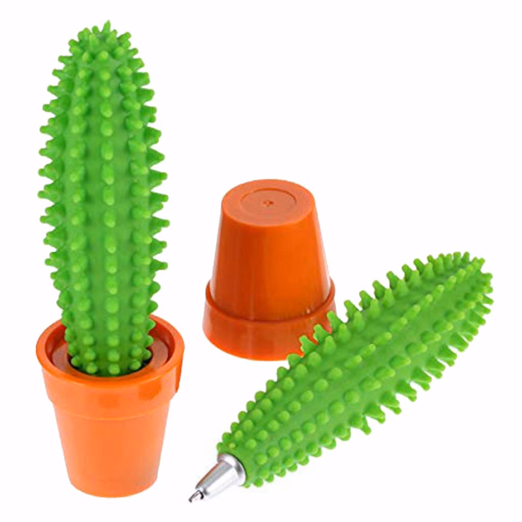 Kann ich meinen Kaktus im Sommer nach draußen stellen?