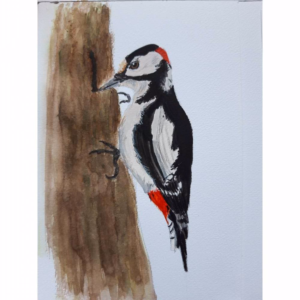 Was kann der Buntspecht sehr gut?