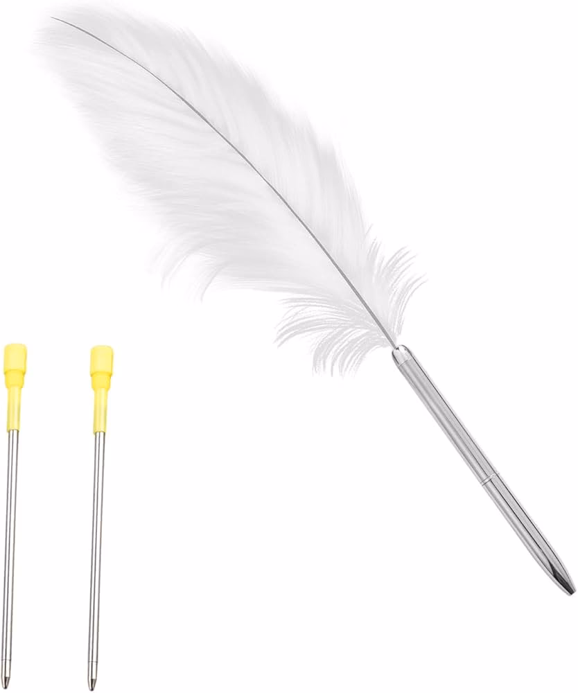 Was bedeutet das, wenn man eine schwarze Feder findet?