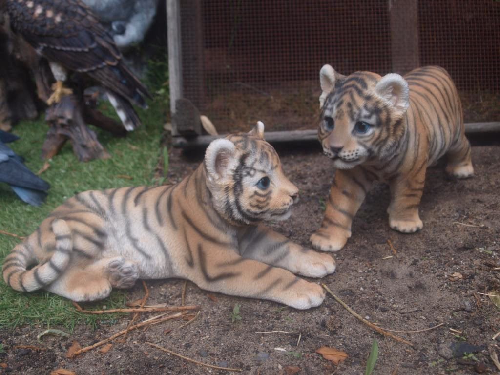 Wie viel verdient man bei Flying Tiger?