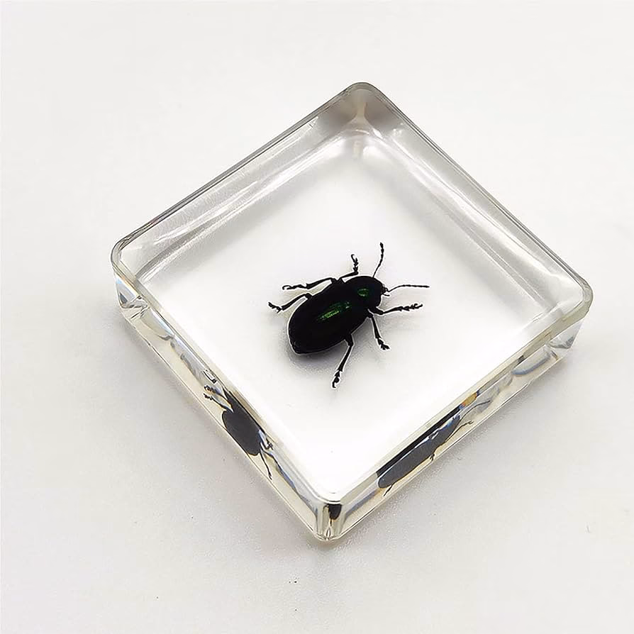 Wie kann ich feststellen, ob ich im Büro abgehört werde?